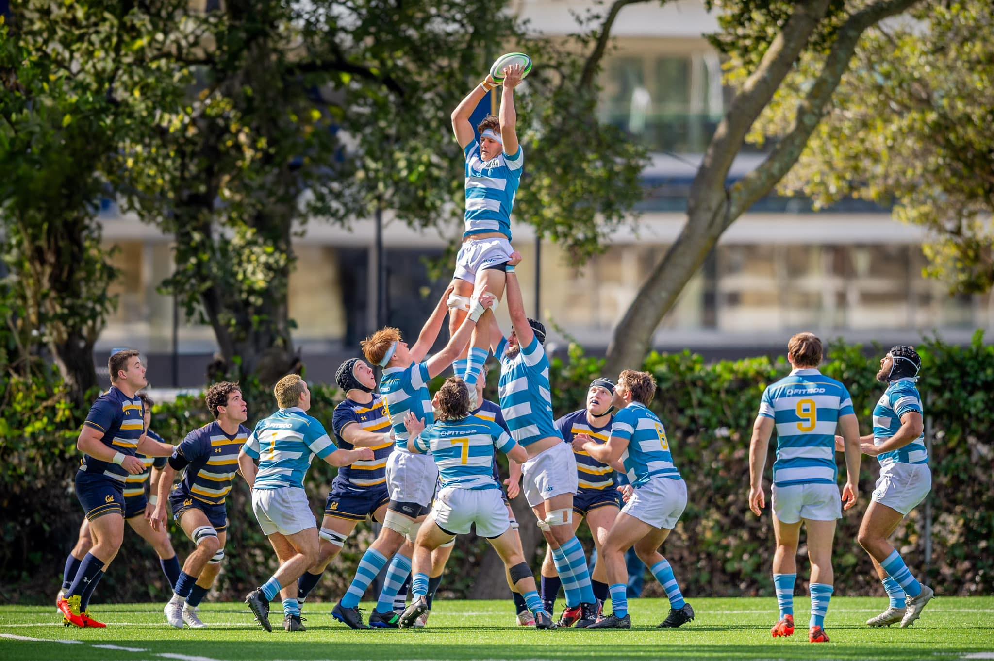 UCLA Men's Rugby | Los Angeles CA