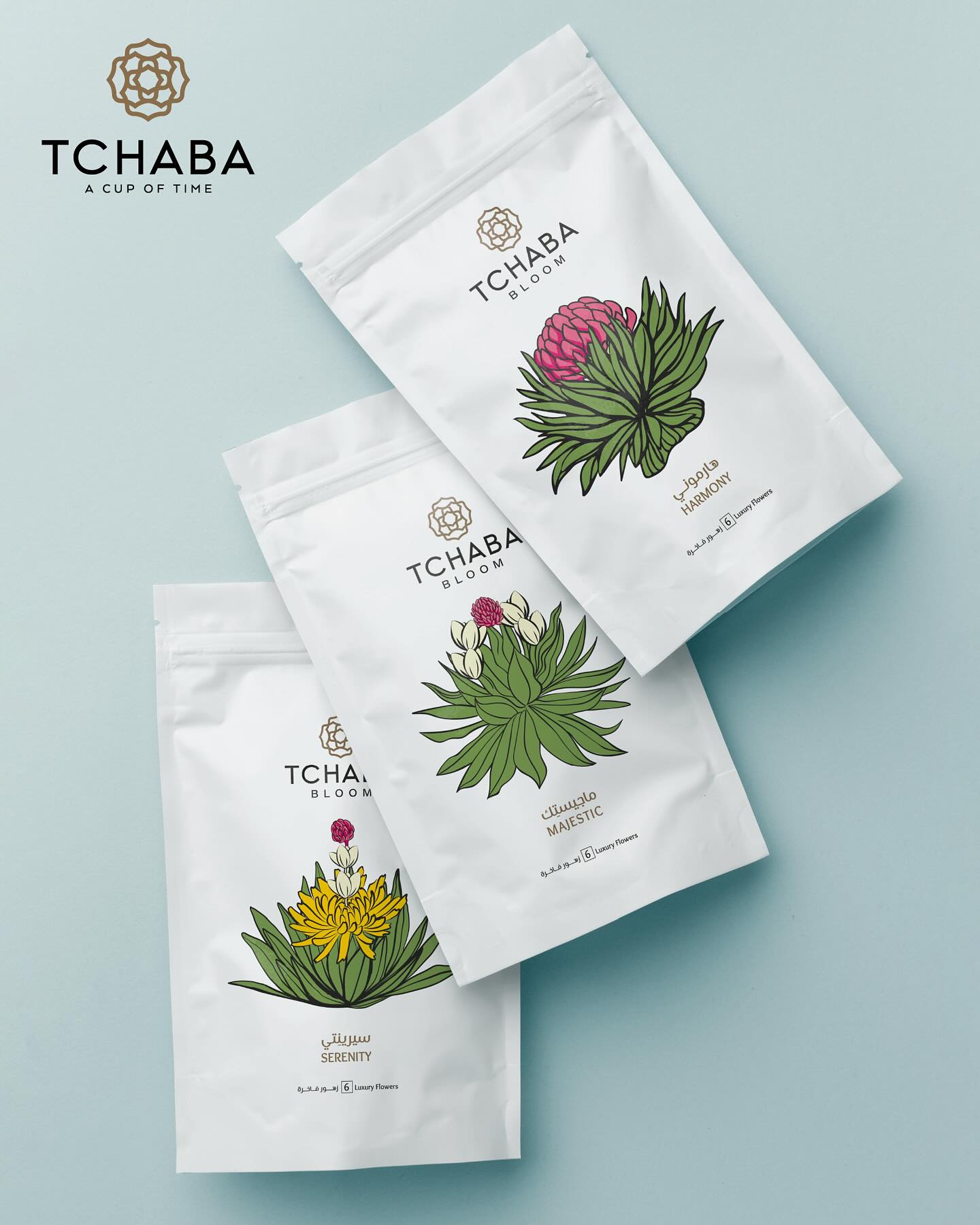 Tchaba Tea | Dubai Investment Park First