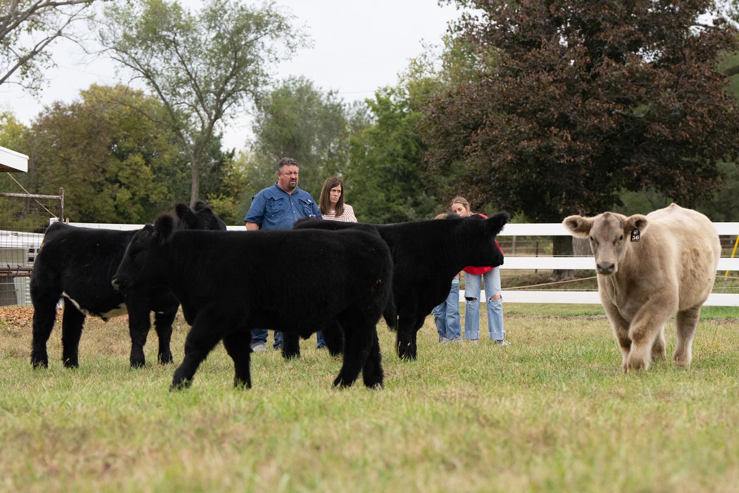 Competitive Edge Genetics... - Competitive Edge Genetics