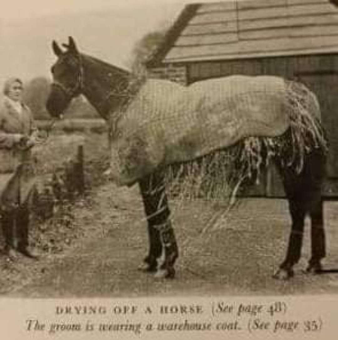 HeartHorse - Horse management things that are now forgotten! 