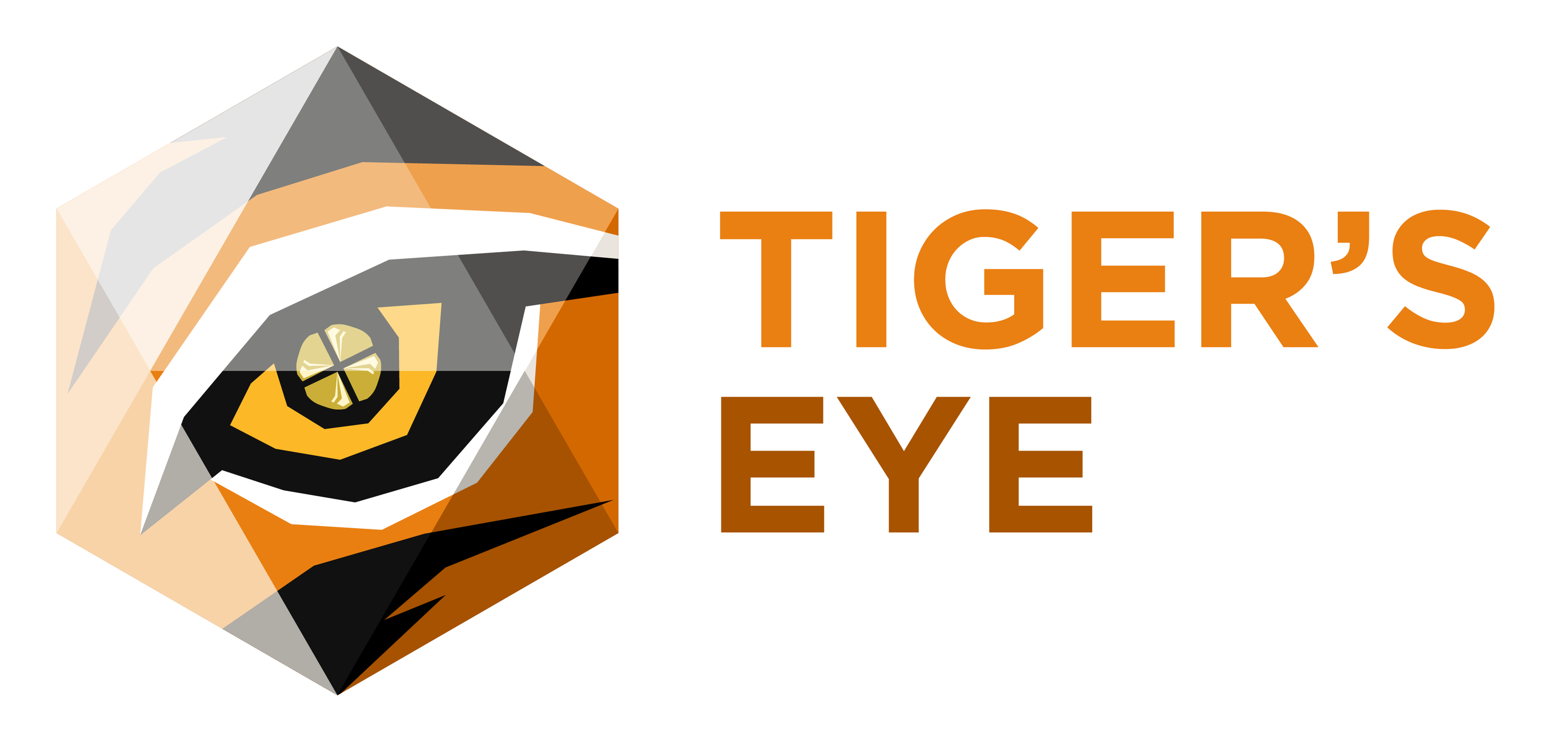 Tiger's Eye Financial Coaches | Taguig