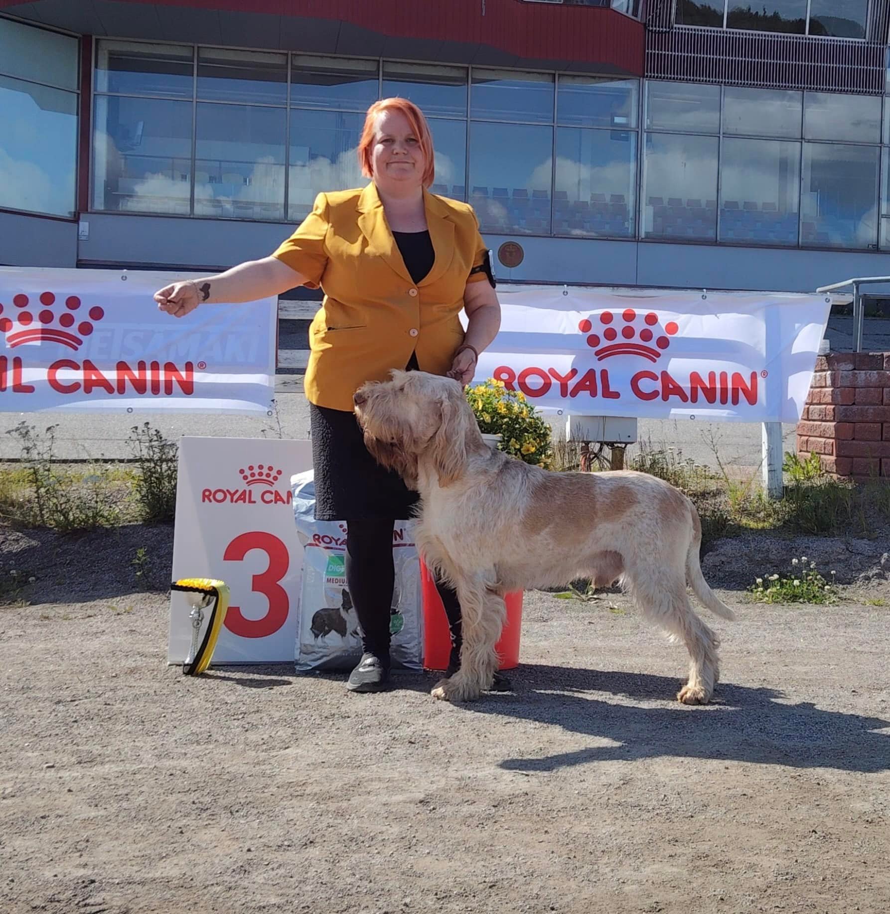 Top Dog Show - Top Dog Show added a new photo.