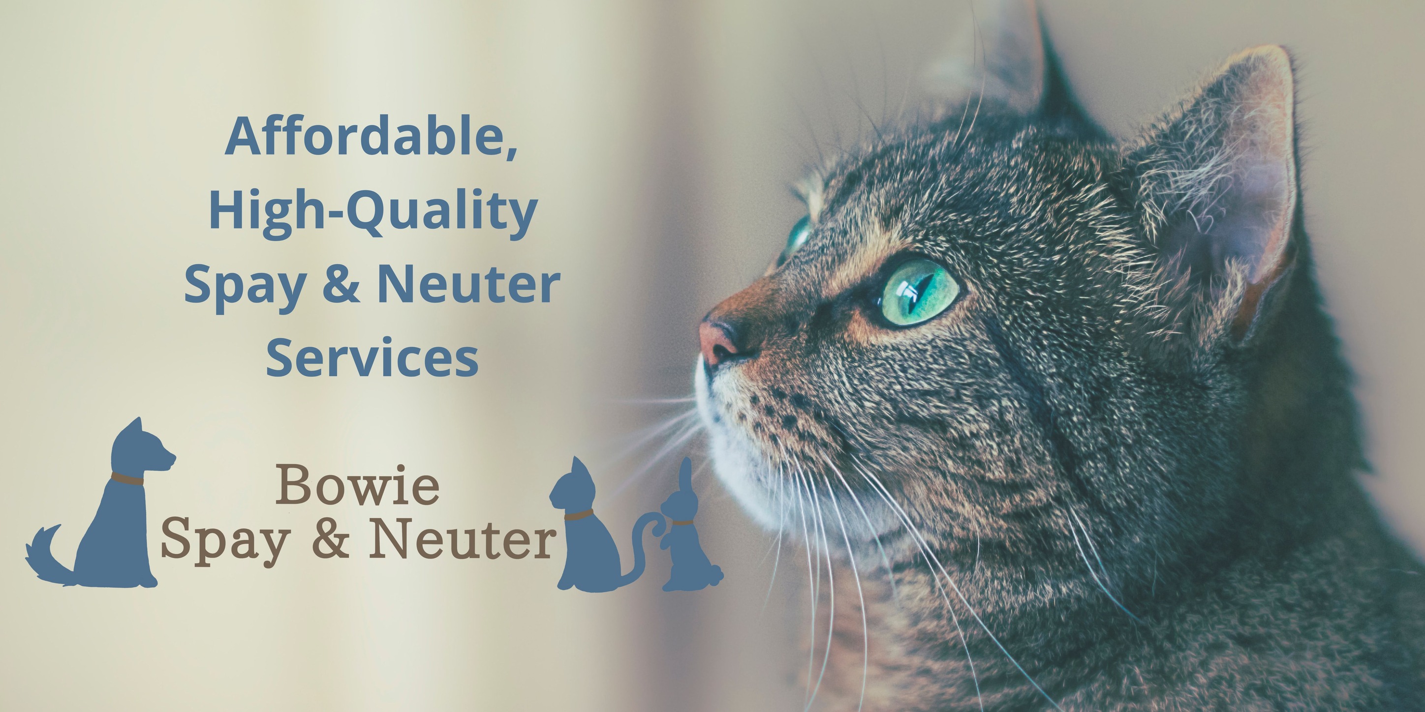 Bowie Spay & Neuter | Bowie MD