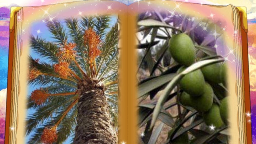 مهرجان الغريفة للنخيل والزيتون Home Facebook