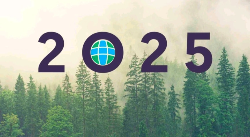 Parish - LAUDATO SI WEEK MAY 24 -31 2025 celebrating the 10th ...