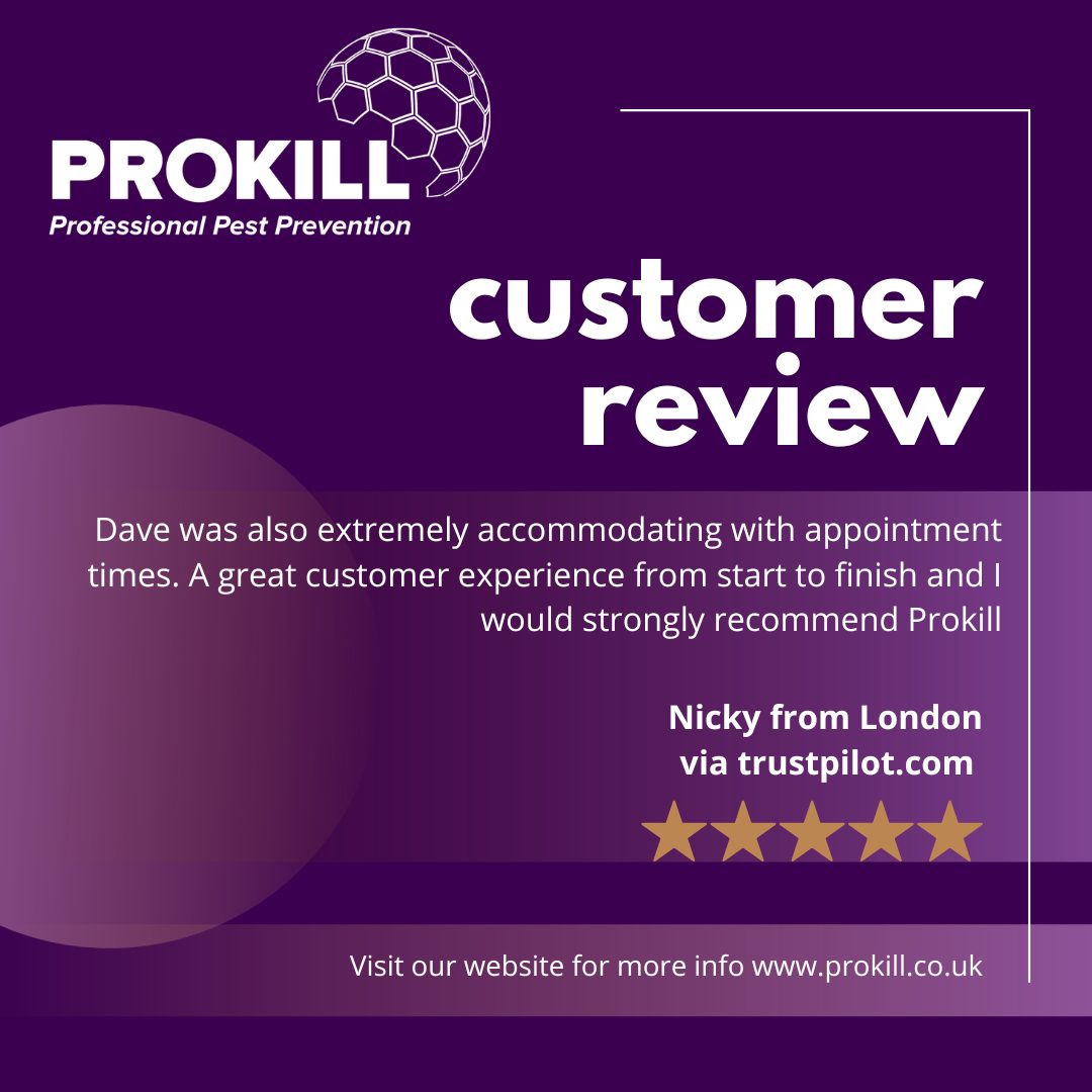 Prokill | Camberley