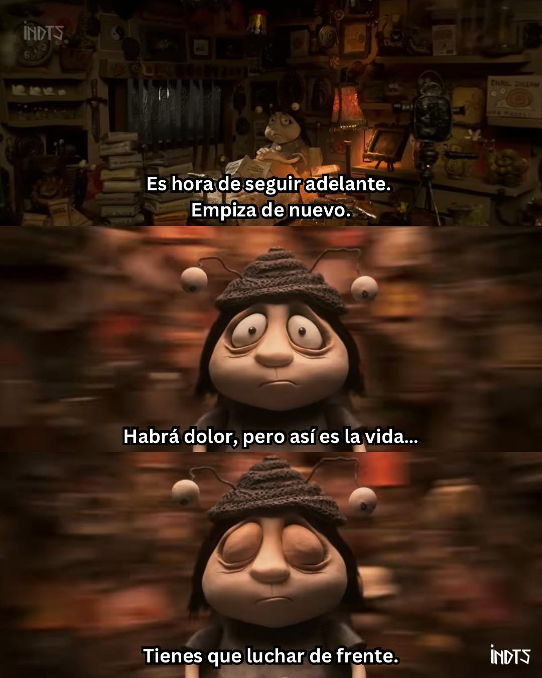 🎬| Memorias de un caracol (2024). - Cineautas Indienautas | Facebook