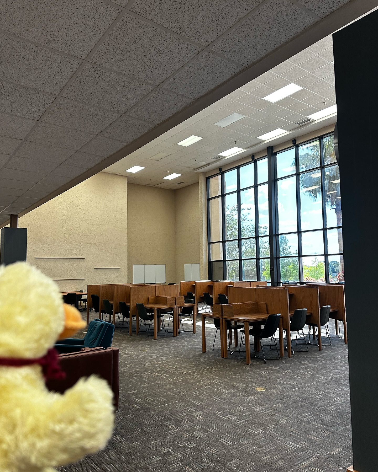 Steelman Library | Lakeland FL