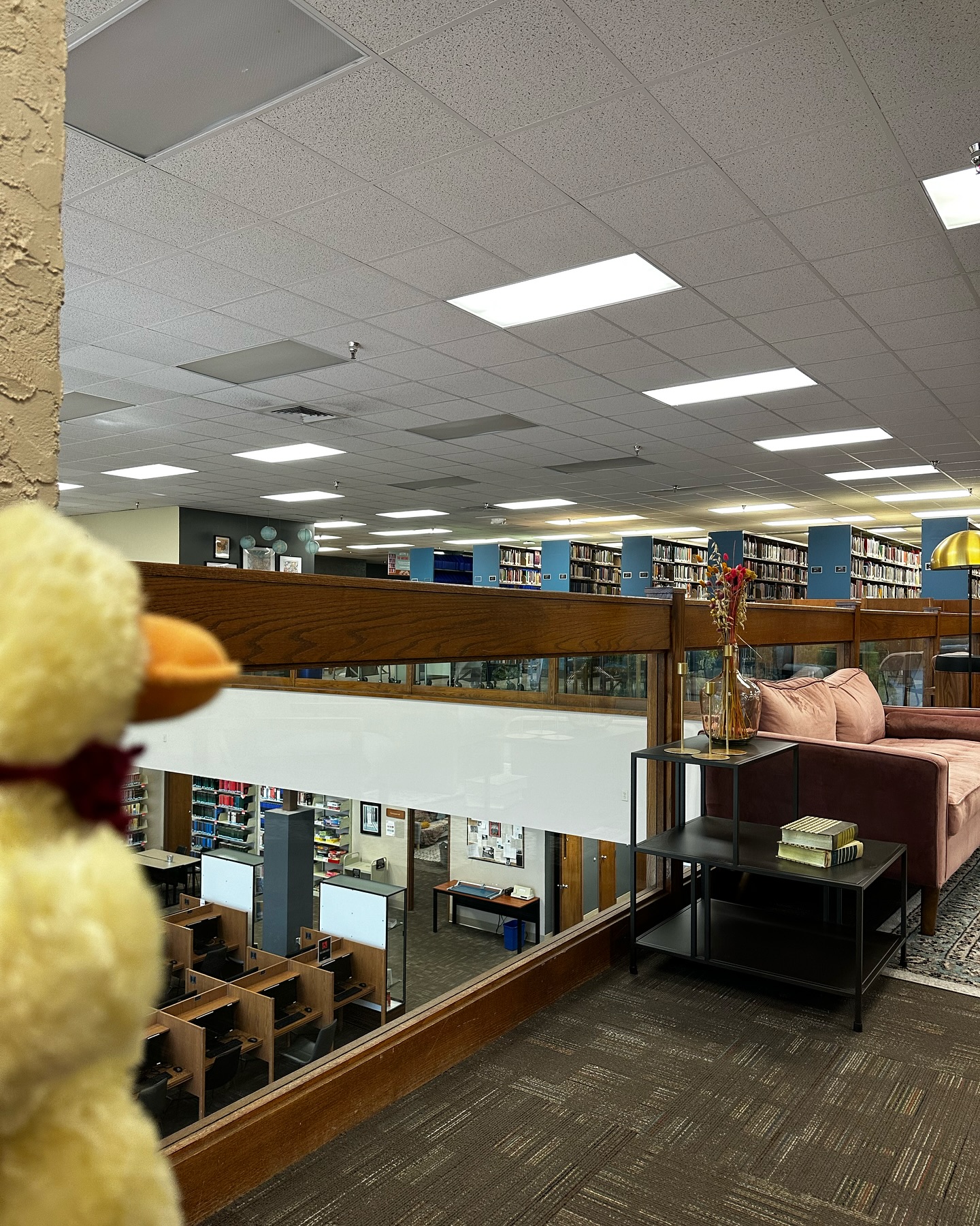 Steelman Library | Lakeland FL