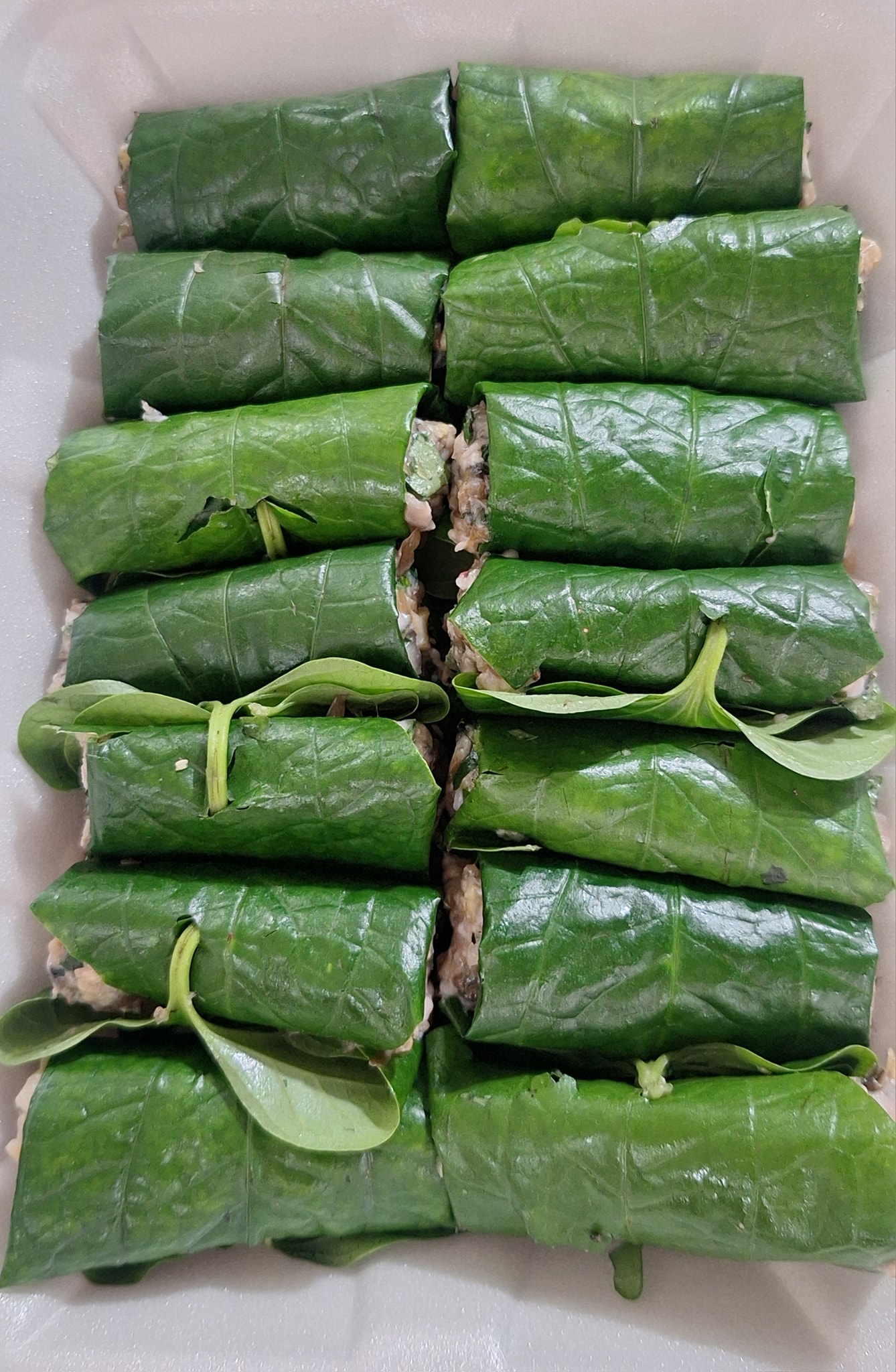 Nông Trang Xanh/ Green Noen... - Nông Trang Xanh/ Green Noen