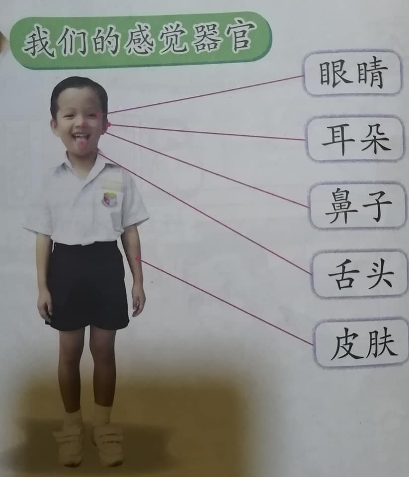 小学一年级科学 Posts Facebook