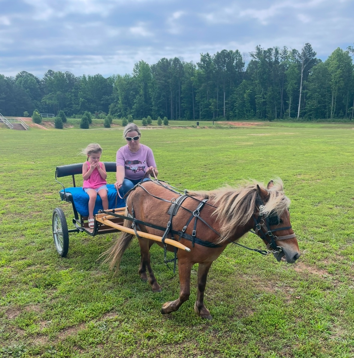 (FULL) MINI HORSES AND CART RIDES FOR PREK