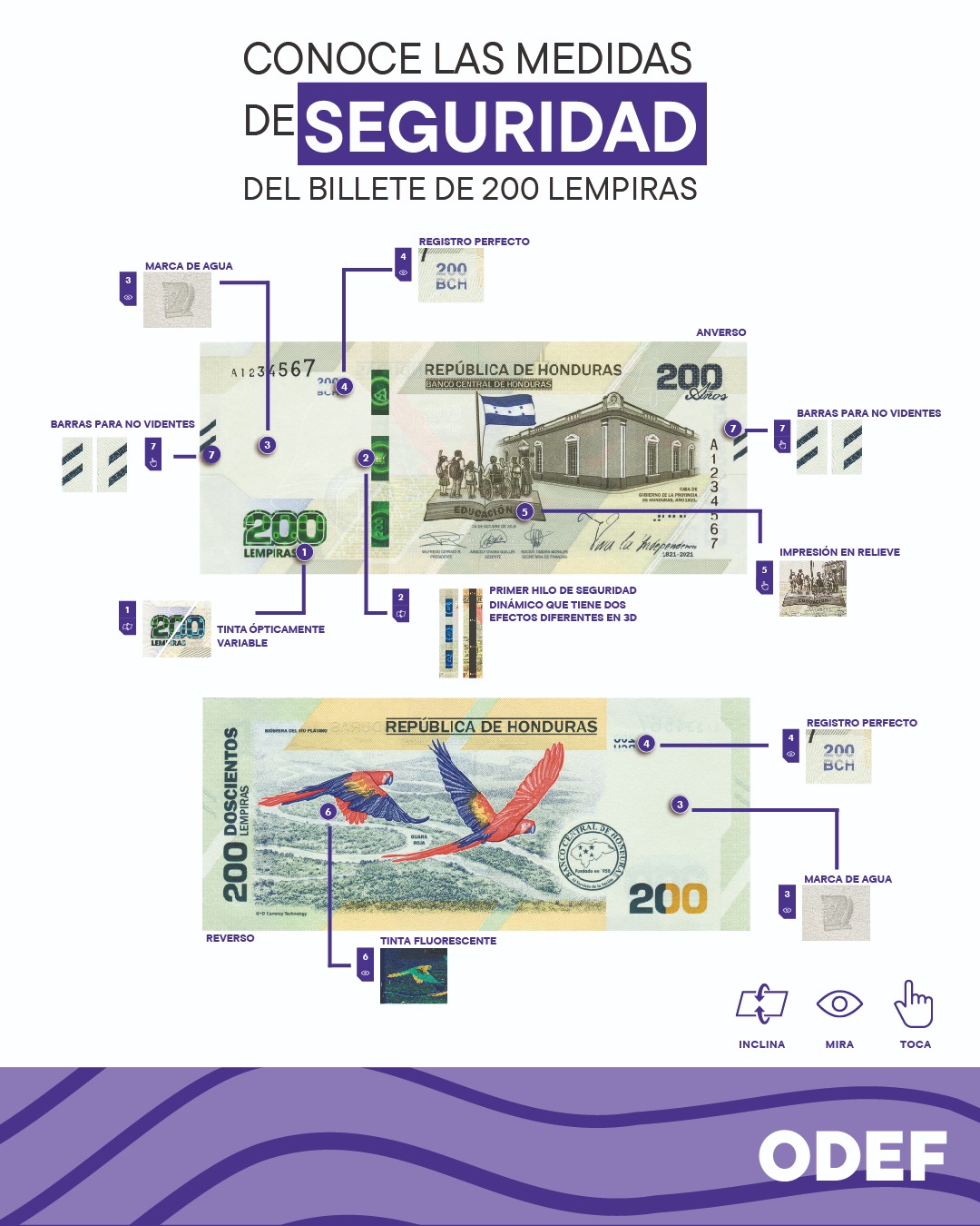 ODEF - ¿Sabías que el billete de 200 lempiras tiene 7 medidas de ...