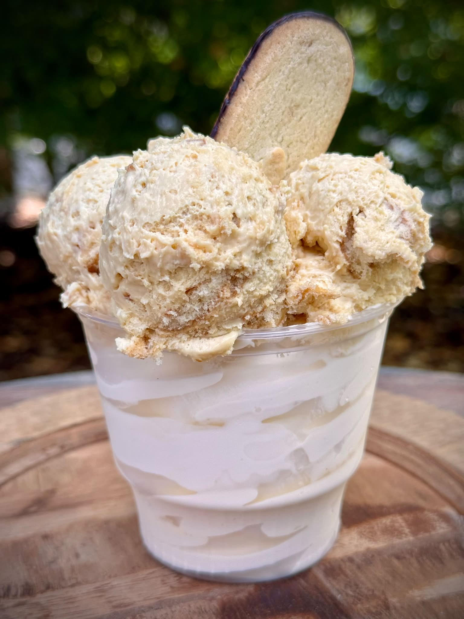 Neff Haus Ice Cream | Harmony PA