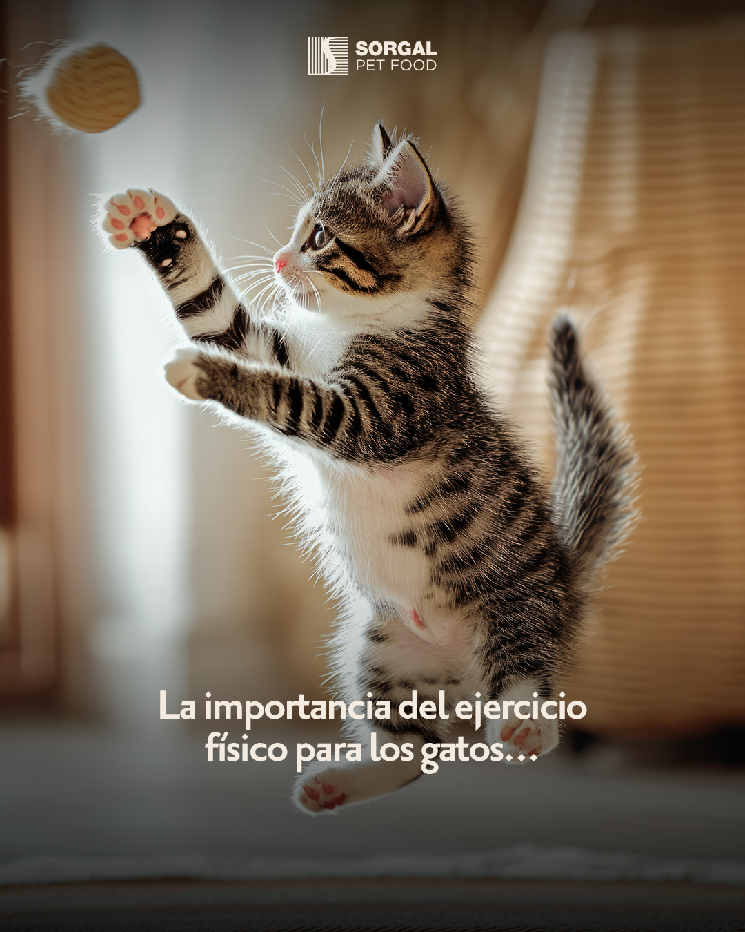 Sorgal Pet Food - ES