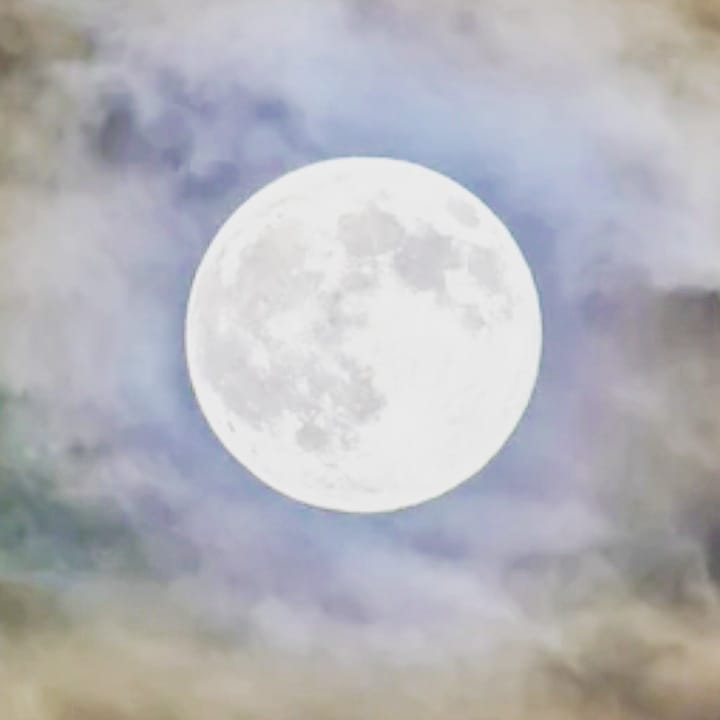 The full moon in Leo on January 28th... - Forest Wellbeing