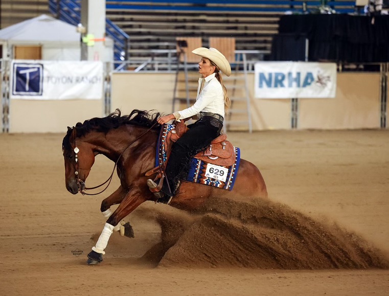 Ryan Rushing Performance Horses | Fort Collins CO