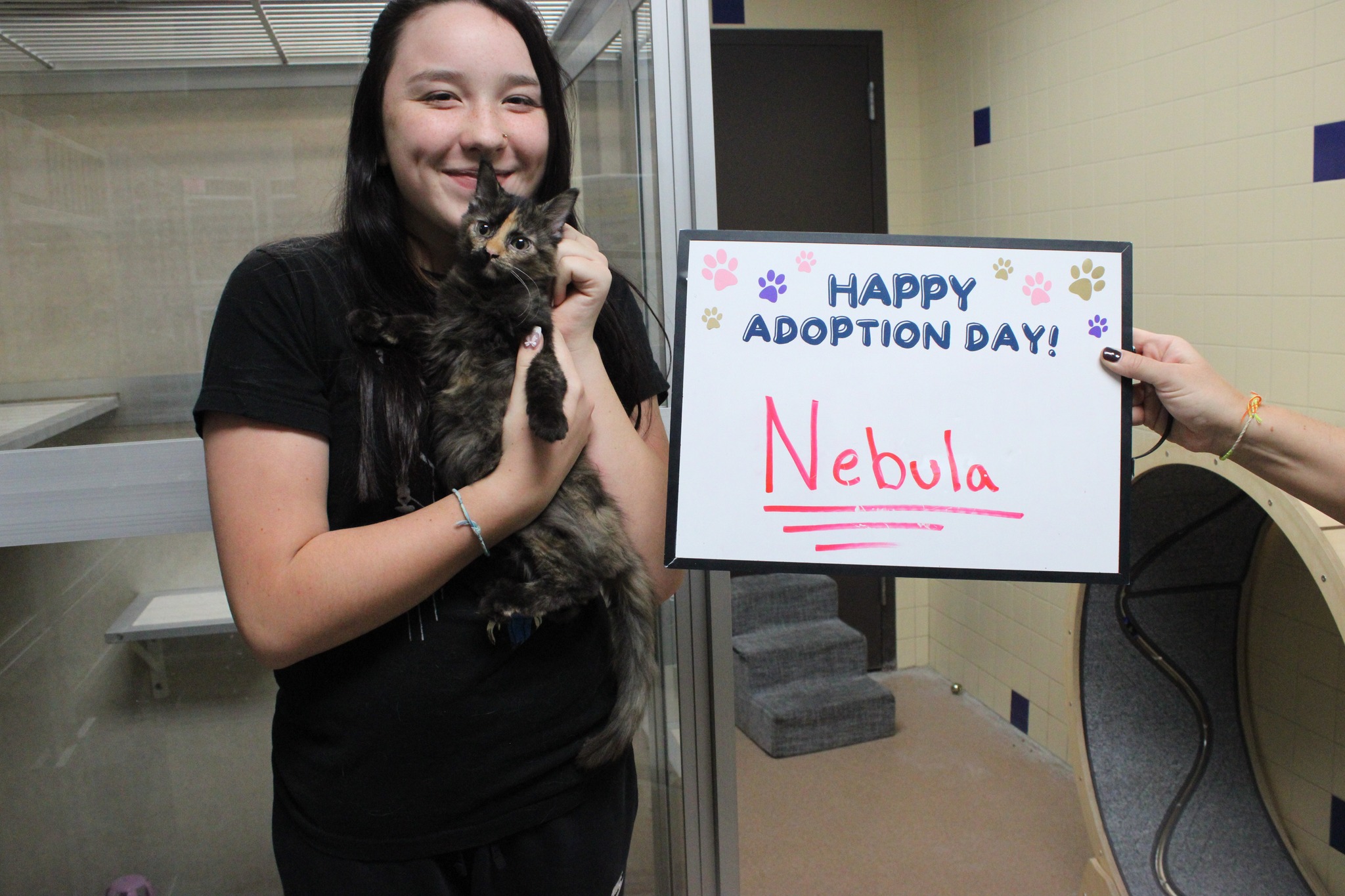 Cedar Bend Humane... - Cedar Bend Humane Society, Inc.
