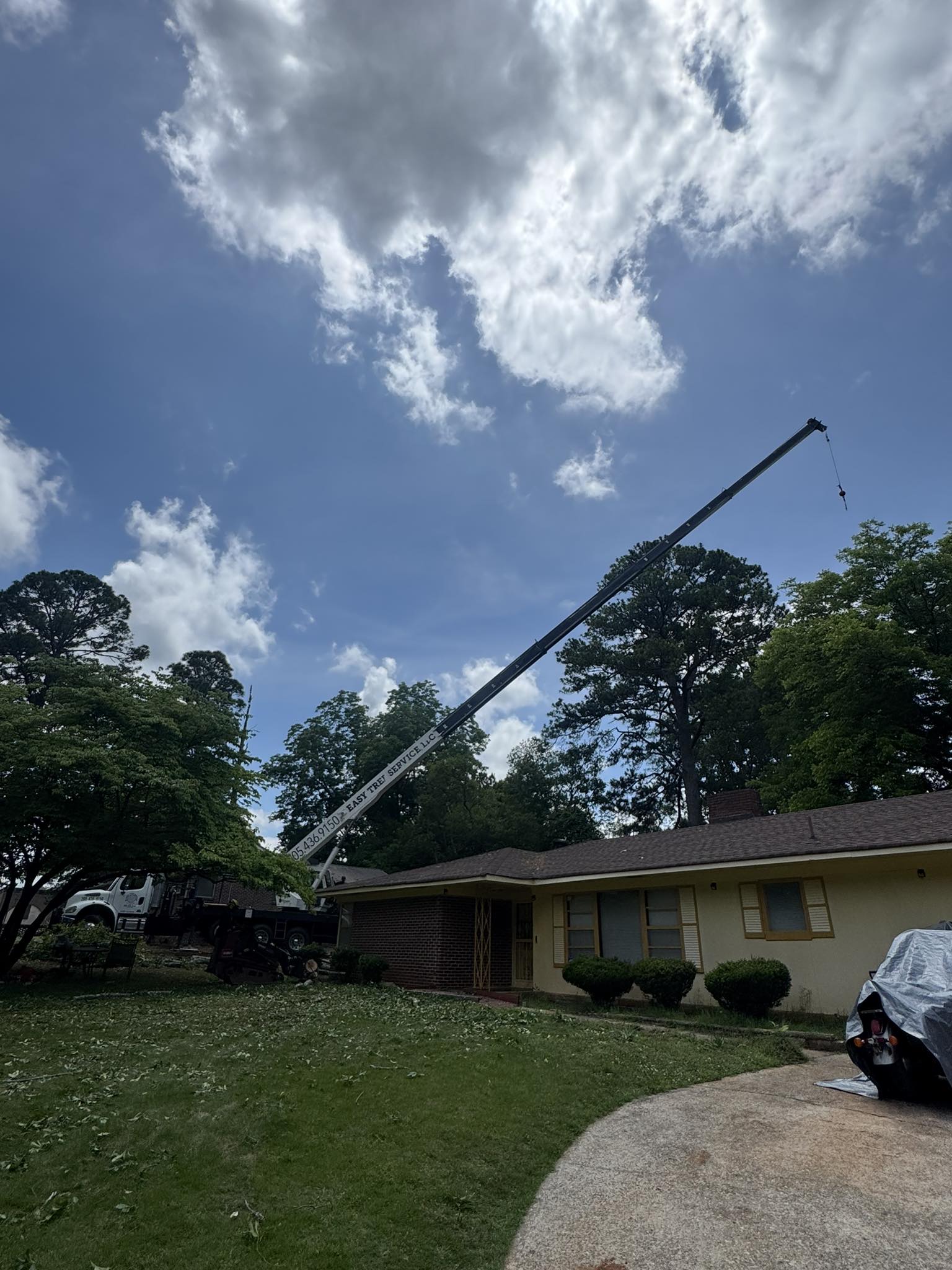 Easy Tree Service | Birmingham AL