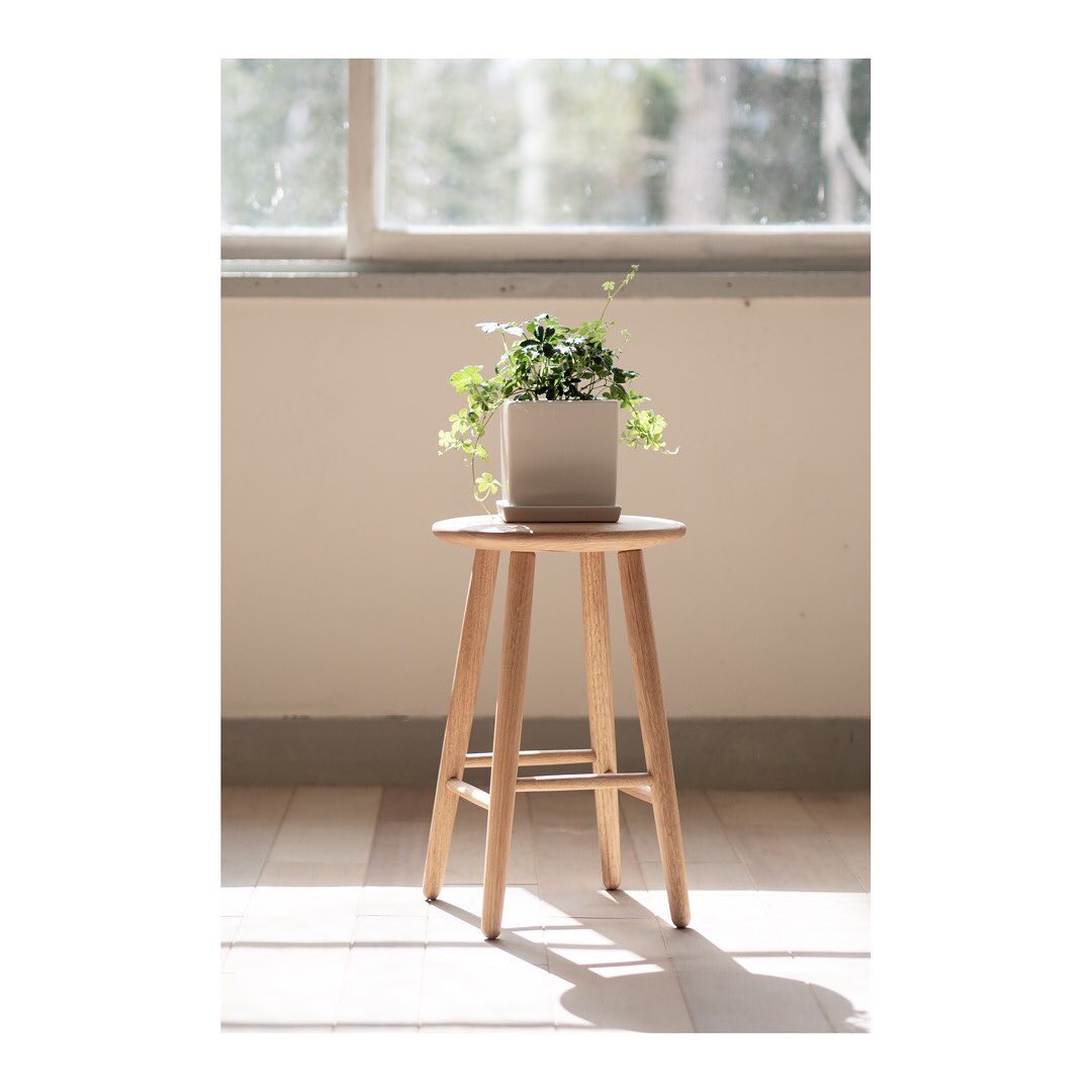 北の住まい設計社 - 【PRODUCT】PAS Stool 東川もようやく、植物たちが元気な姿を見せてくれる季節に。...