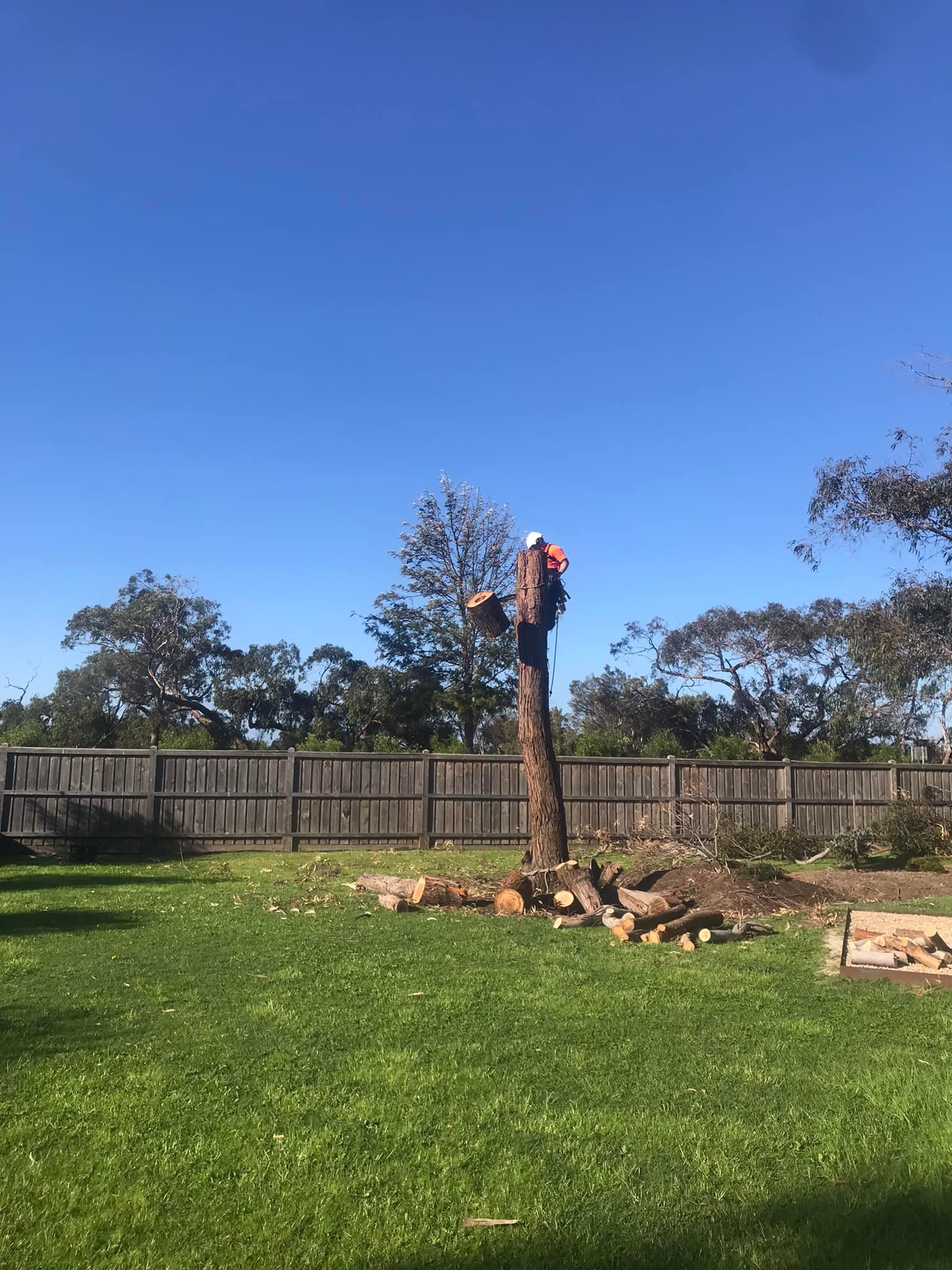 Tomcat Tree Services | Pearcedale VIC
