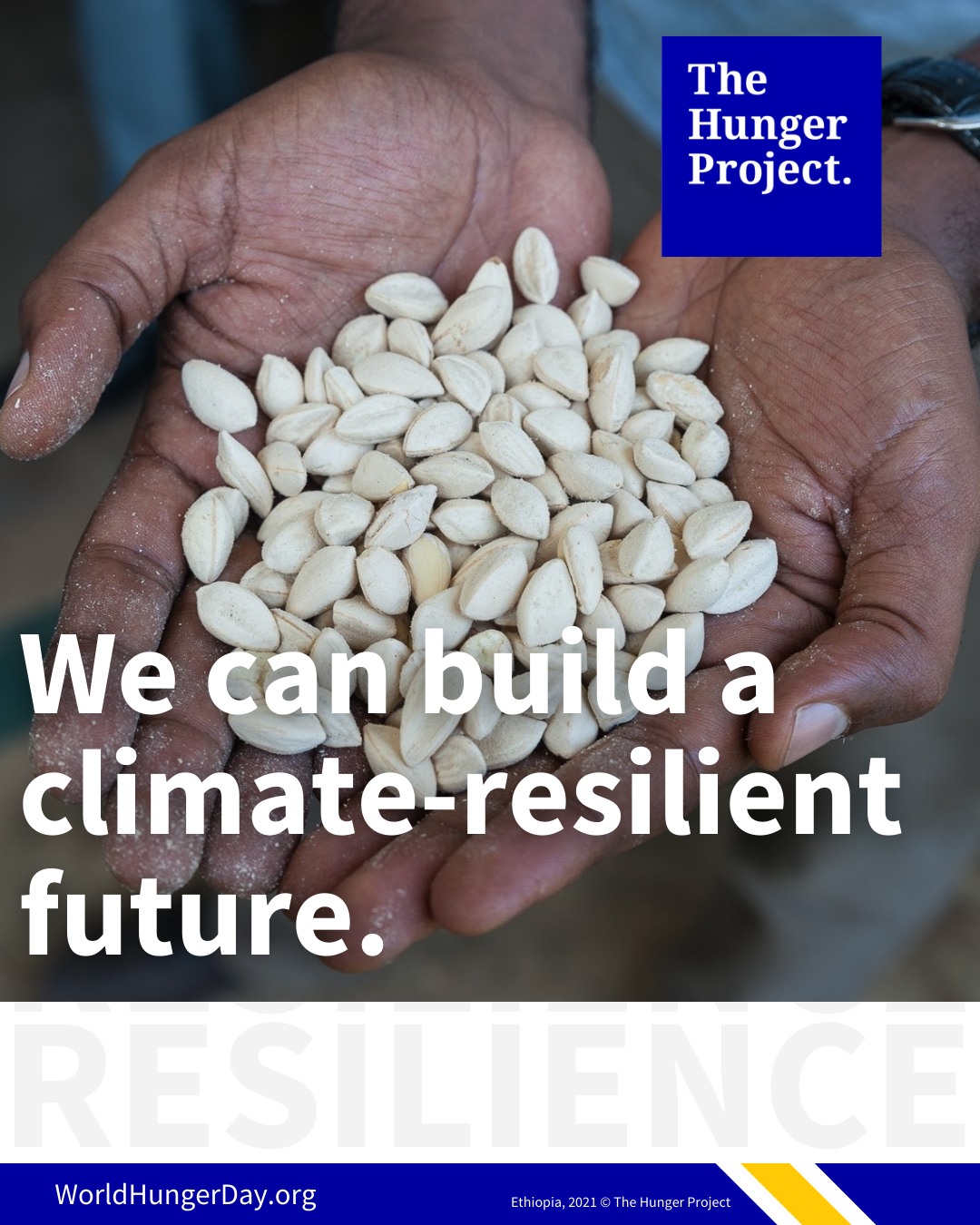 🌍 Hunger and climate change are... - The Hunger Project | Facebook