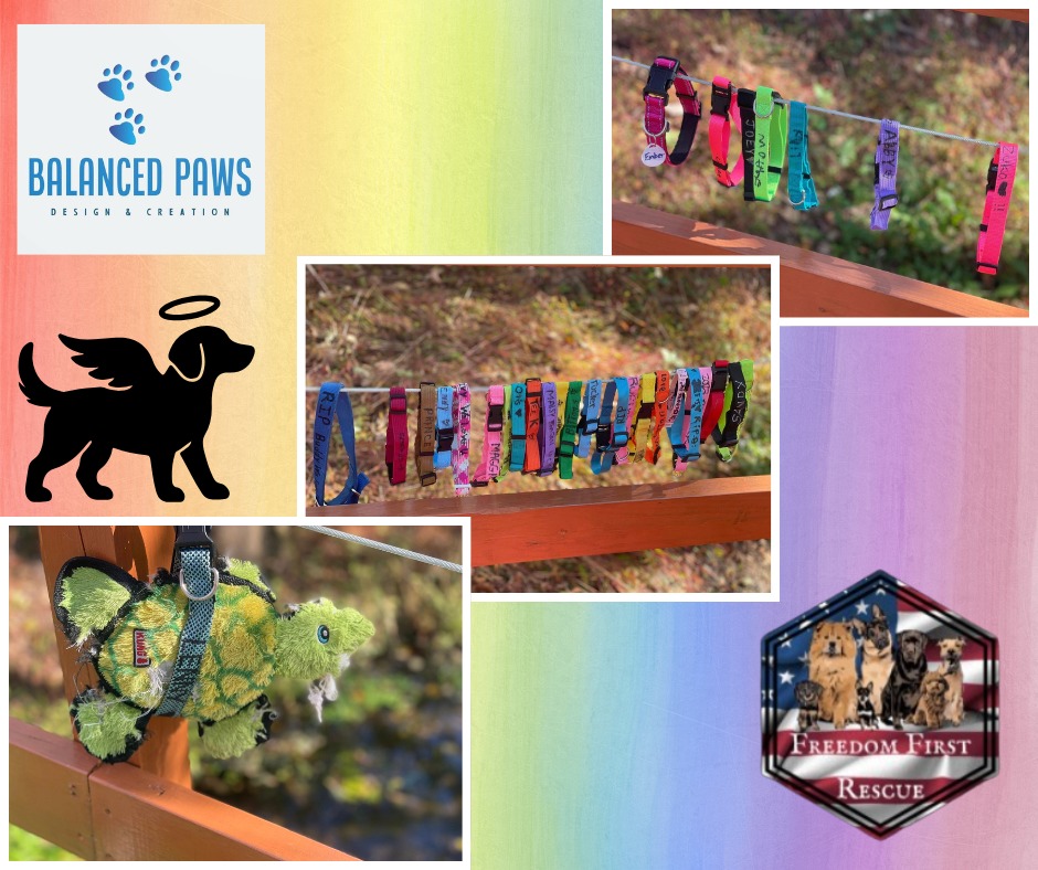🌈🐾 PAWS ACROSS THE RAINBOW: A... - Freedom First Rescue | Facebook