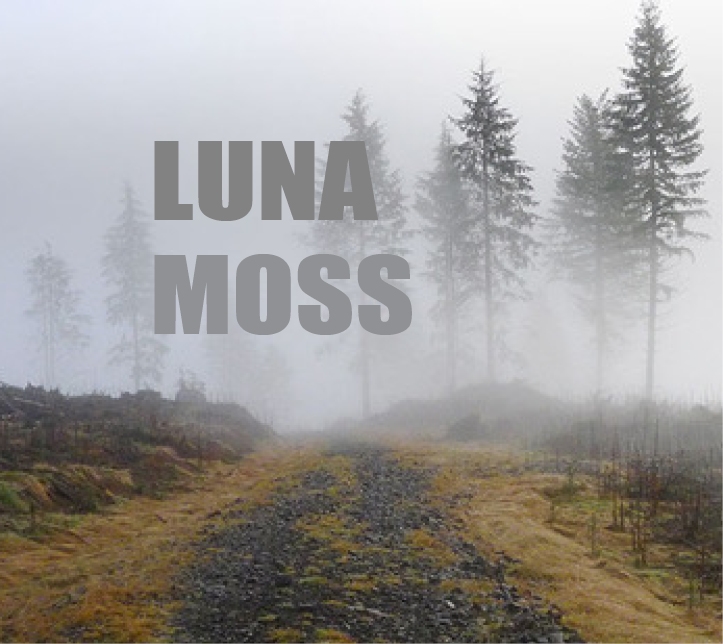 Luna Moss music