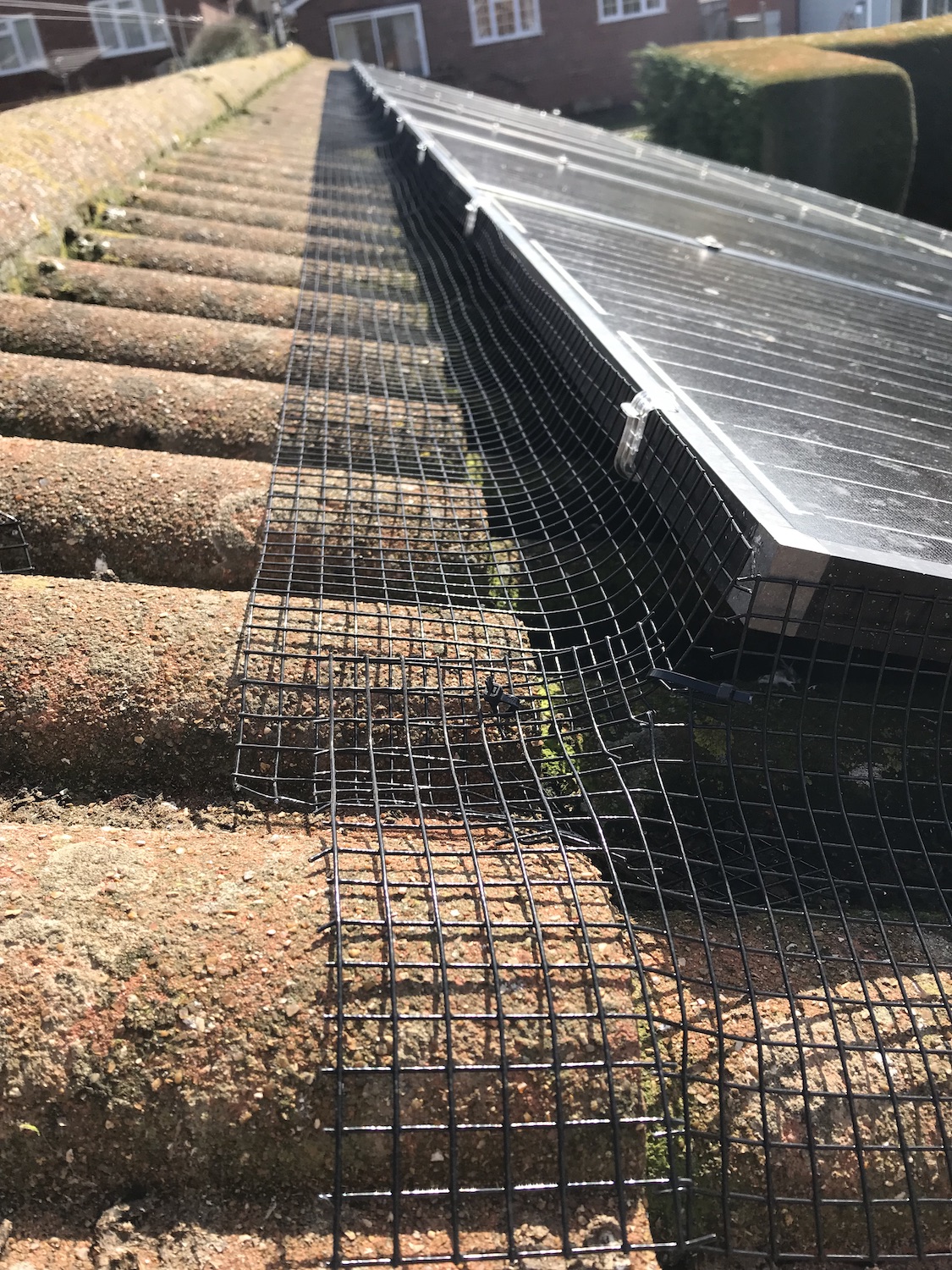 Best Pest Control Weymouth