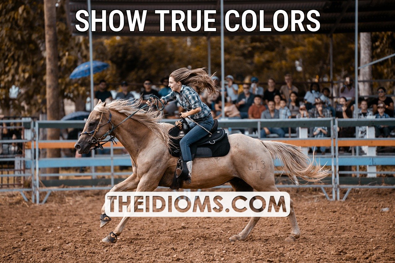 Idioms - SHOW TRUE COLORS Meaning / Definition Meaning: to show what ...