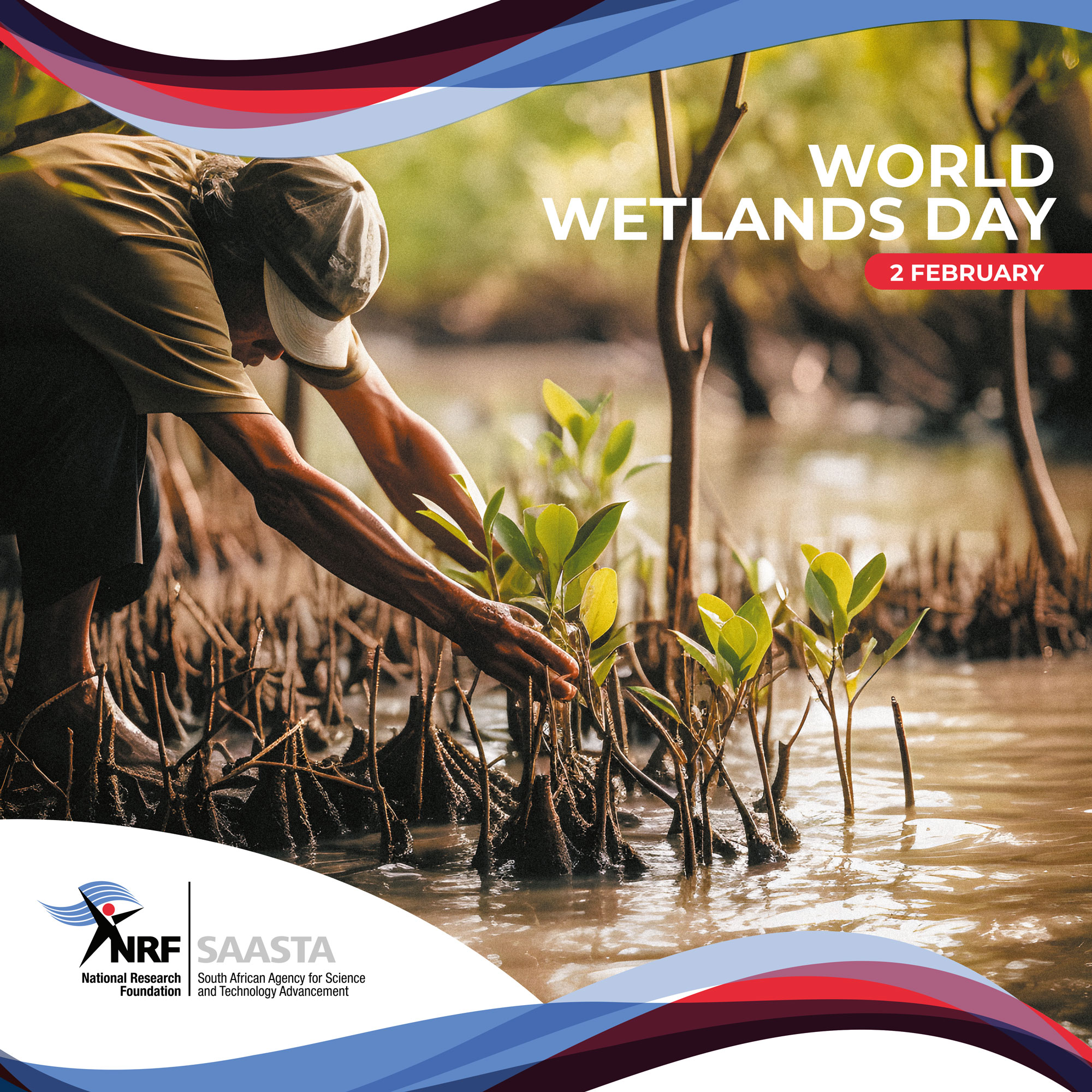 SAASTA - World Wetlands Day, celebrated every year on 2 February, marks ...