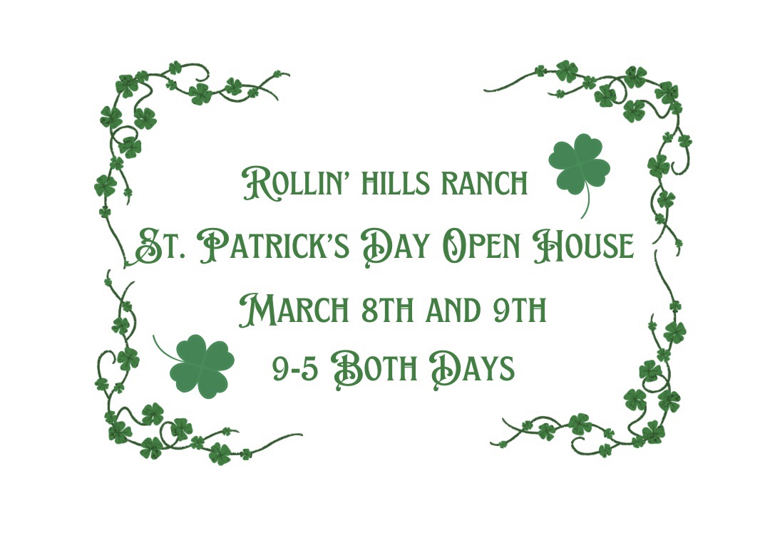 St. Patrick’s Day Open House Weekend