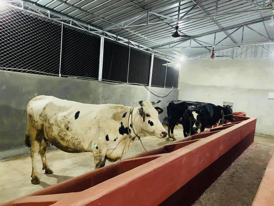 Friends Dairy and Agro Farm