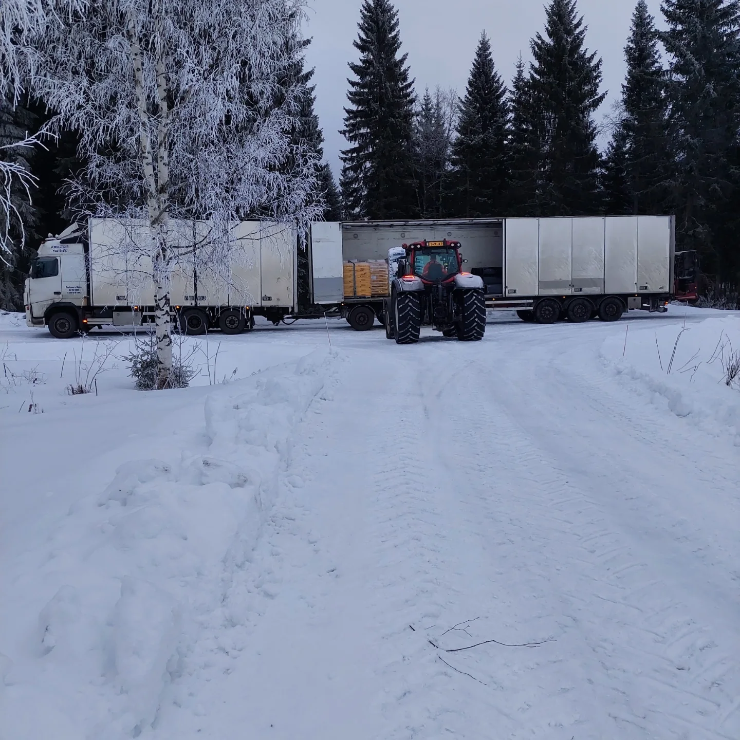 Puurusen Puutarha - Muutama päivä sitten kyselin, minkä linnun poikanen ...