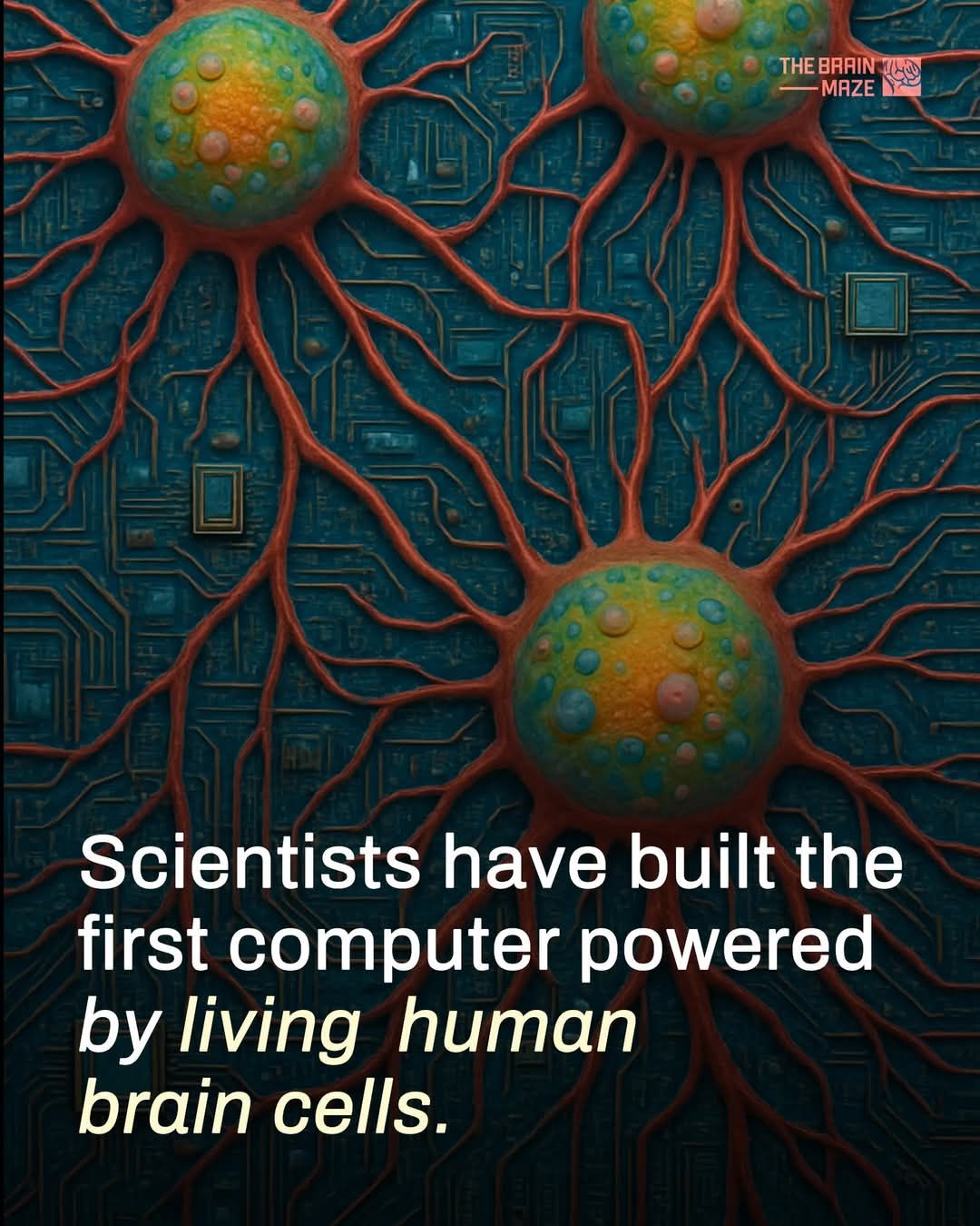 In a groundbreaking leap for science and technology, Cortical Labs has ...