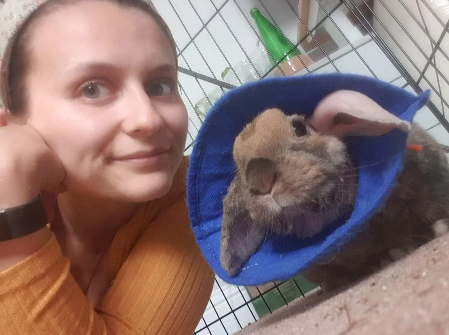 Bristol Rabbit Rescue... - Bristol Rabbit Rescue And Friends