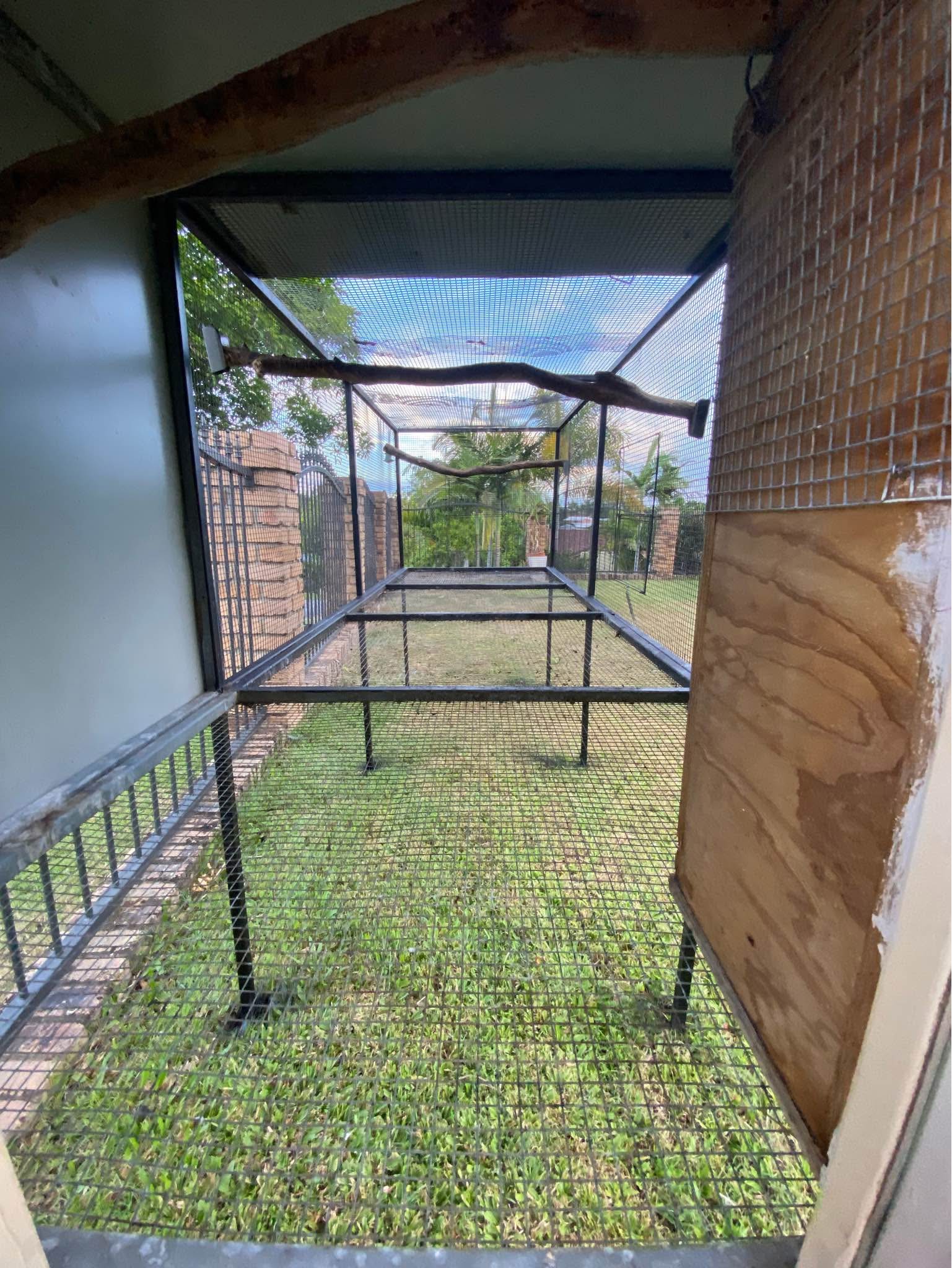 3.3 metre Aviary suspended parrots. - Bird Perches & Playstands ... - Compact Aviary For Macaws And Playstands
