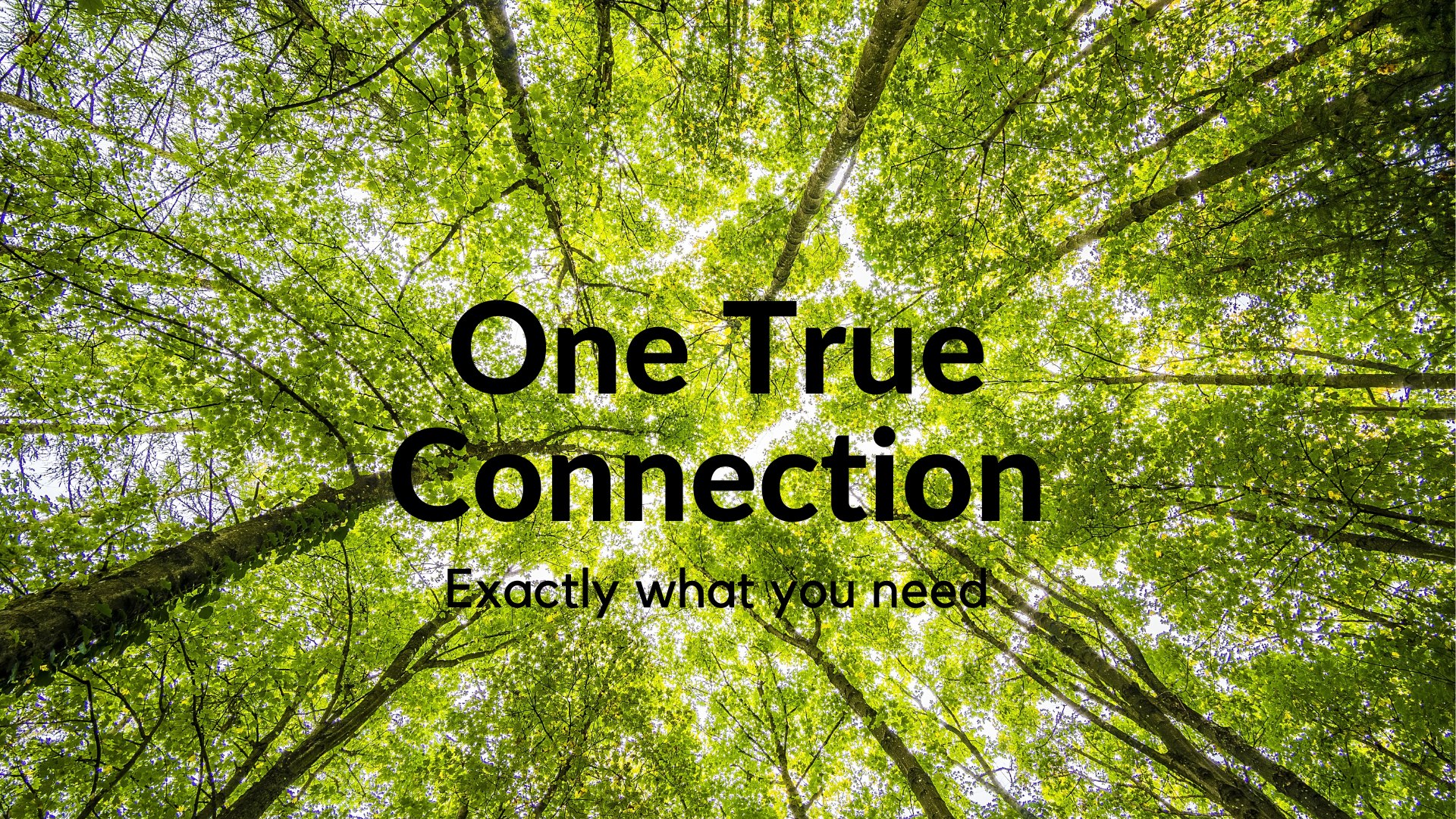 One True Connection | Facebook