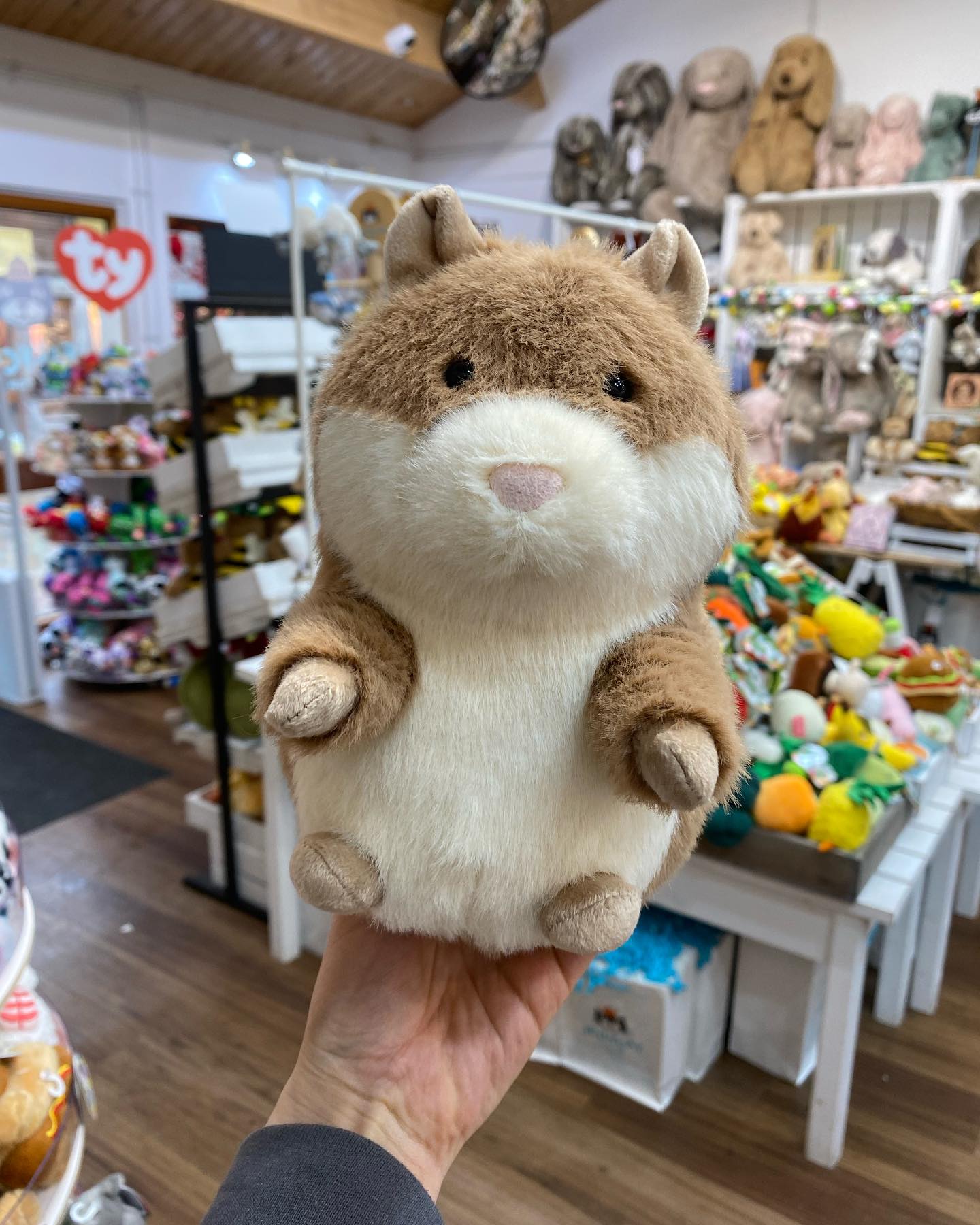 Jellycat Gordy Guinea Pig and Small bashful dragon 🐉 are now both