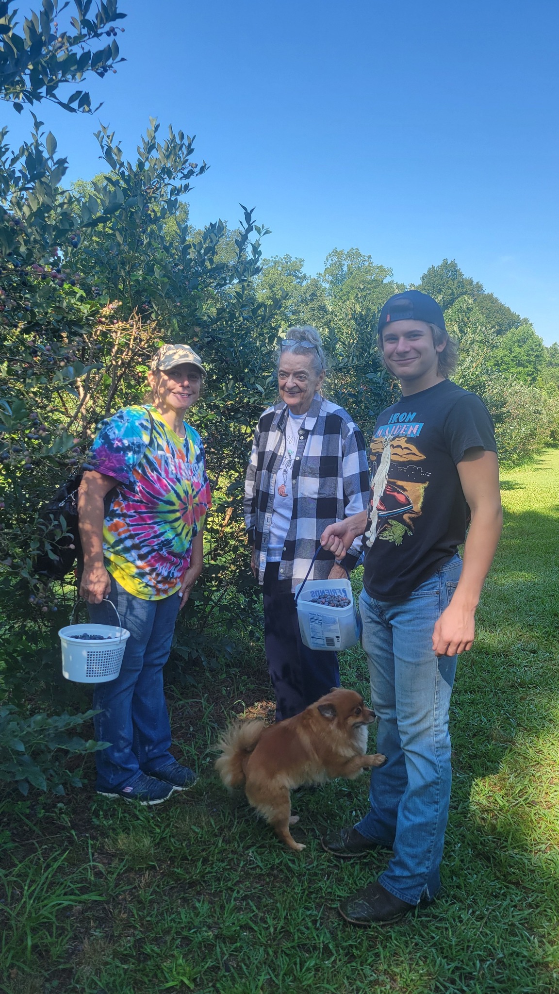Blueberry Ridge Farm Tn | Decaturville TN