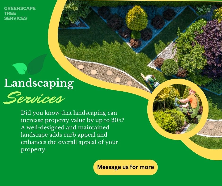 Greenscape Tree Services | Baltimore MD