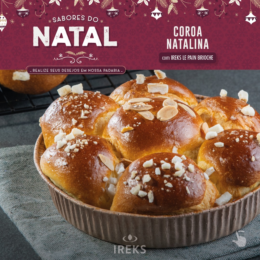 IREKS DO BRASIL - Receituário SABORES DO NATAL 🎄🎅 Confira... | Facebook