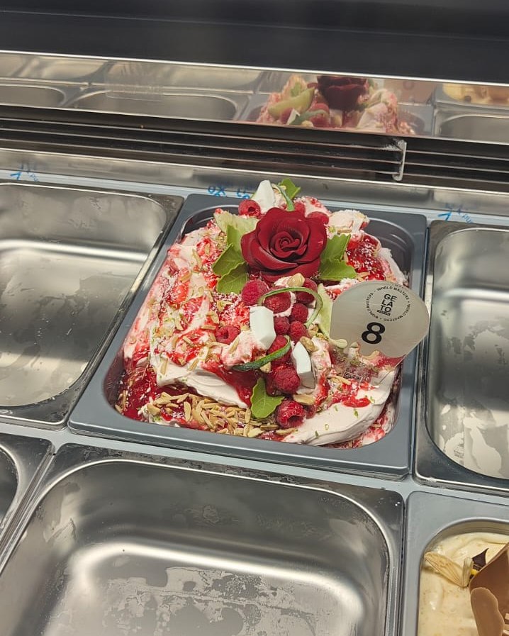 Van - Van Twente naar Italië, terug met een hoofd vol inspiratie, en ...