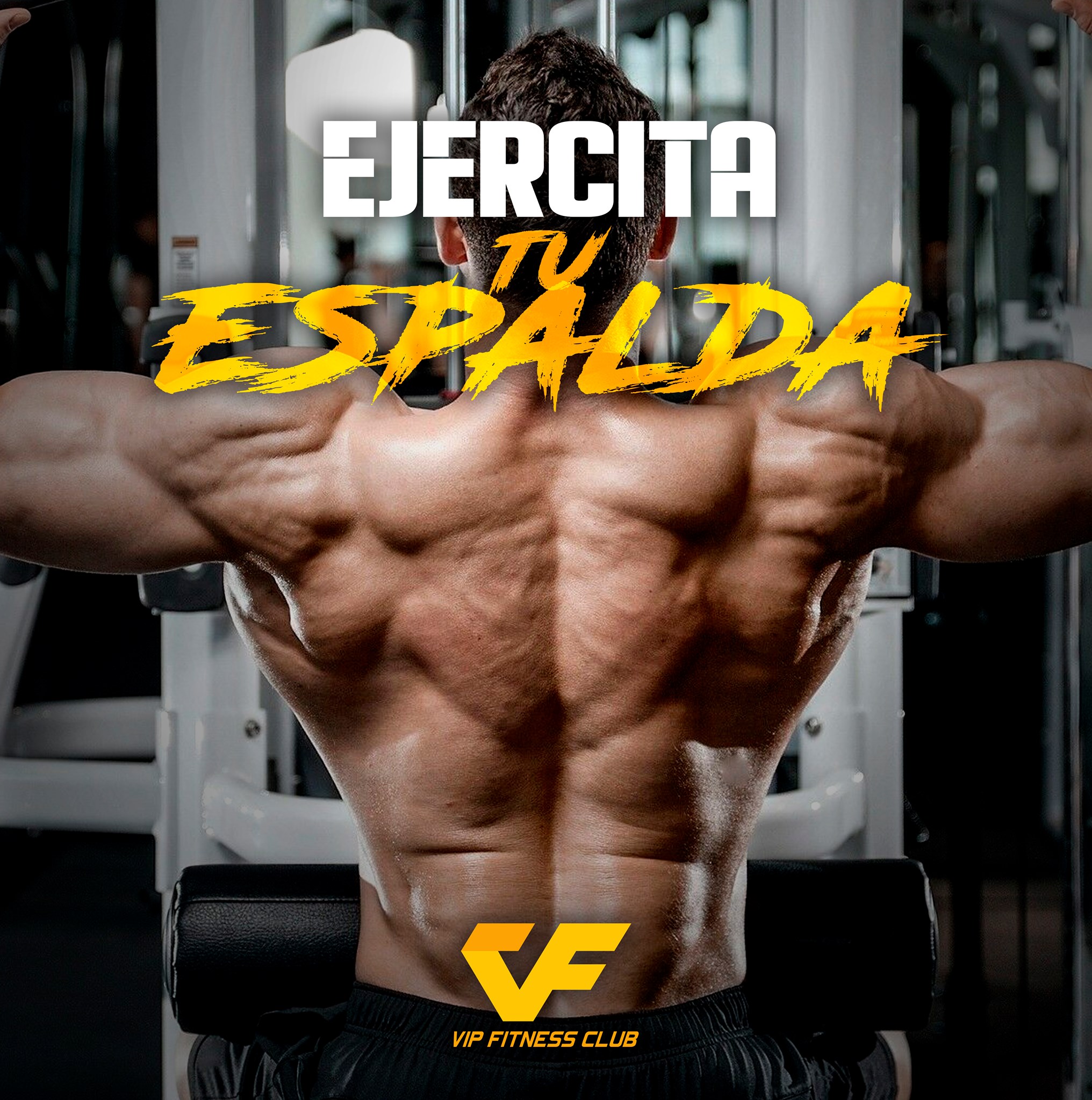 La espalda es una de las zonas que... - Vip Fitness Club