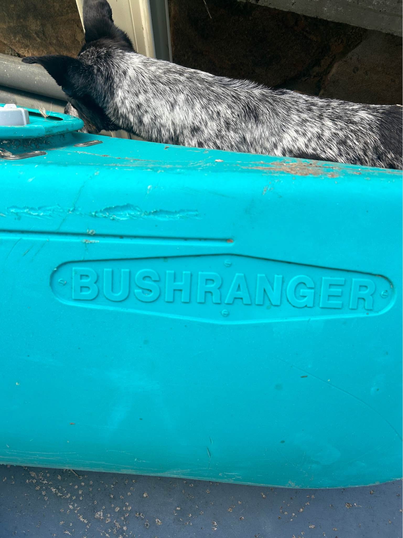 Canoe bushranger - plastic - Kayaks - Emerald Beach | Facebook ...