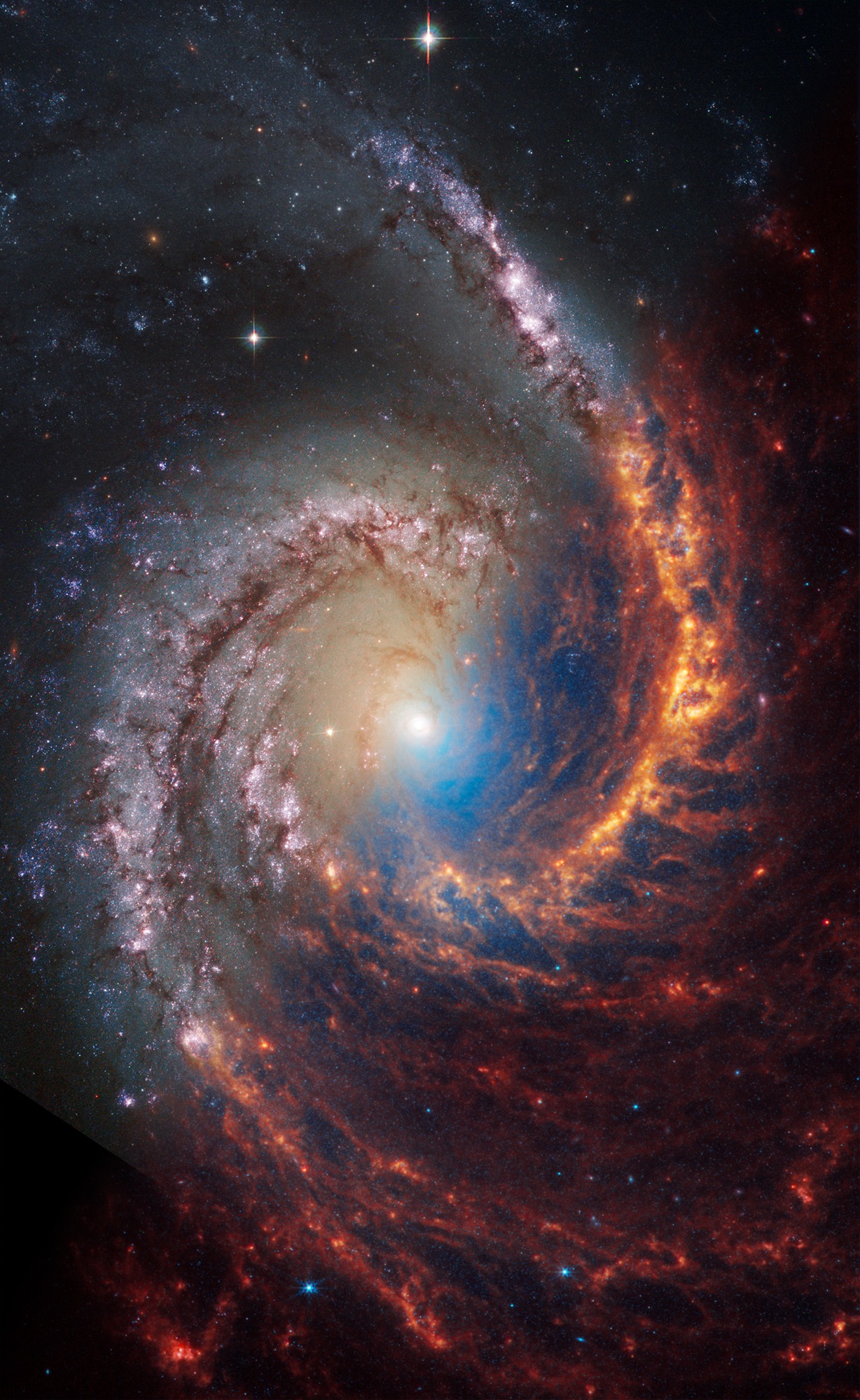 Astronomy - Webb and Hubble’s Views of Spiral Galaxy NGC 1566 10.11.25 ...