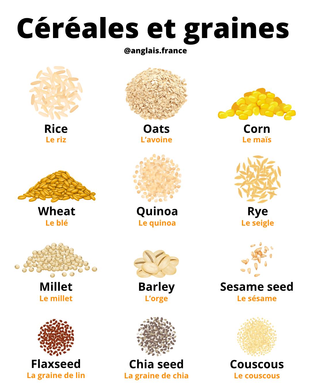 Anglais - Le vocabulaire des céréales et des graines en anglais | Facebook
