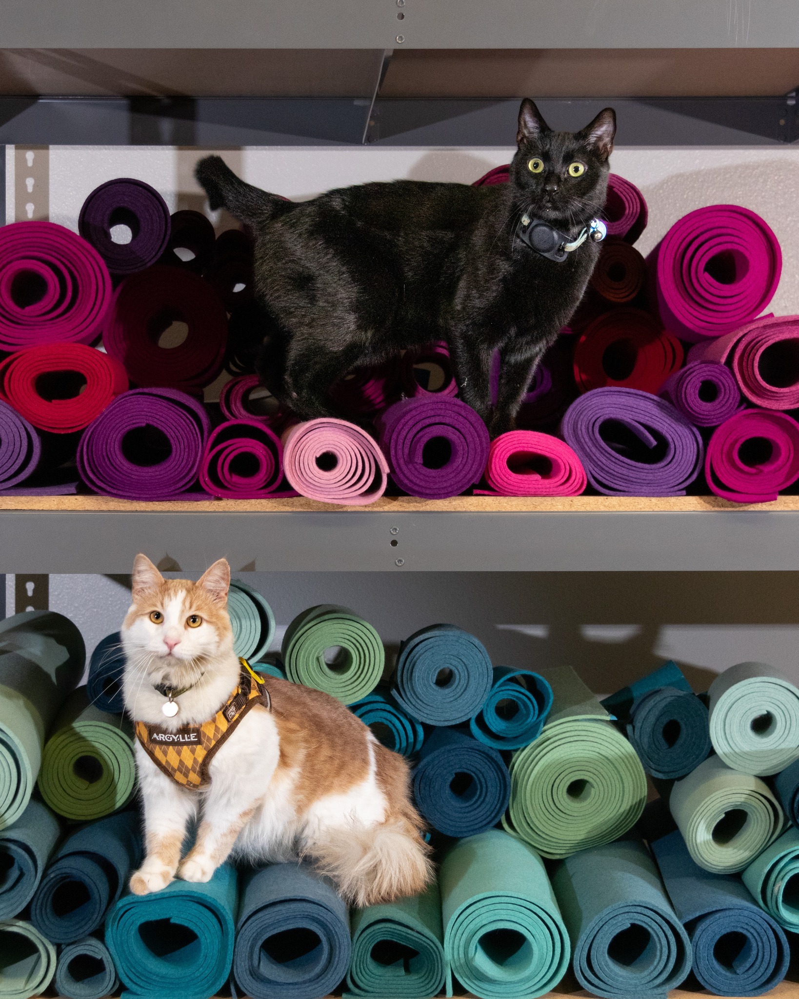 Submaterial - Meet our final Fabpurrcators of 2025 — Remy and Pierre 🐾 ...