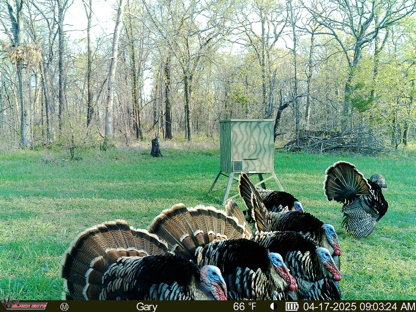 Such an epic picture 🔥 📸:... - Black Gate Hunting Products | Facebook