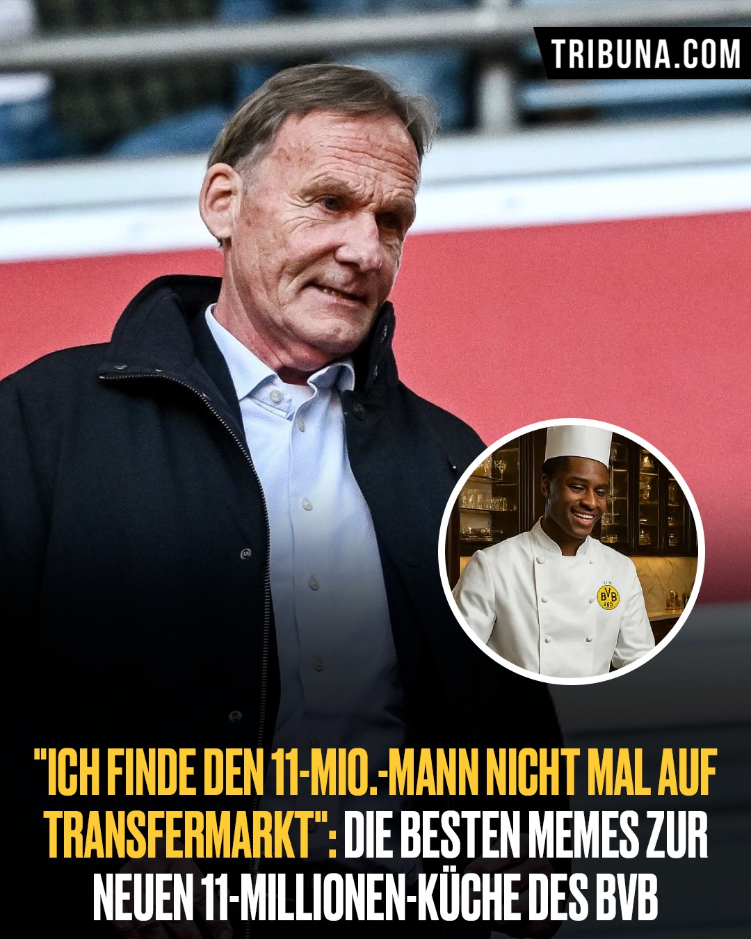 Fans zerlegen die 